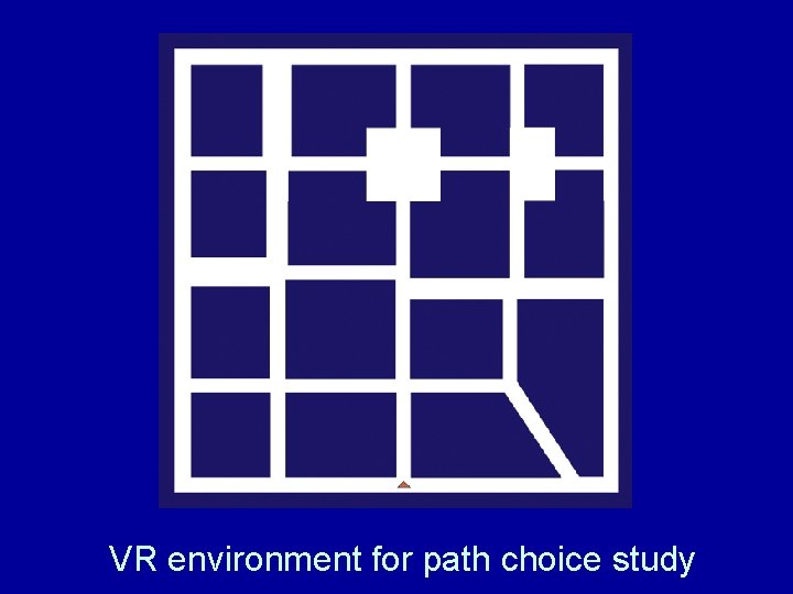 VR environment for path choice study 