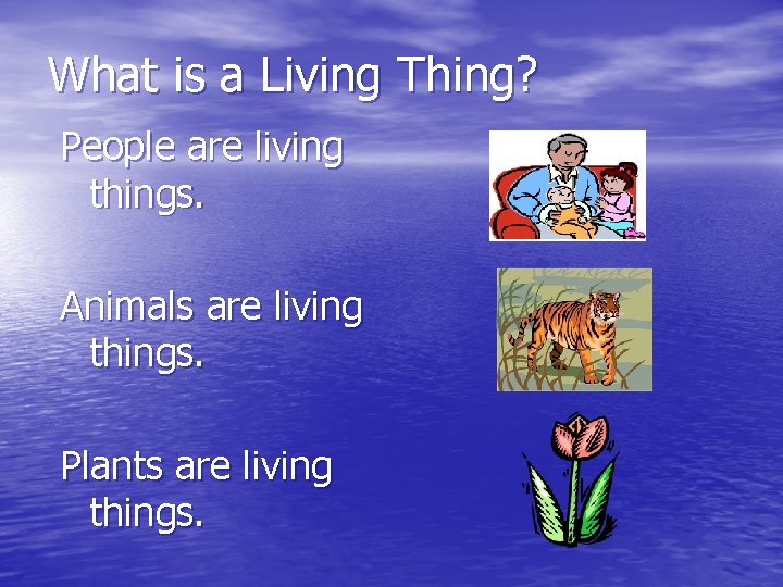What is a Living Thing? People are living things. Animals are living things. Plants