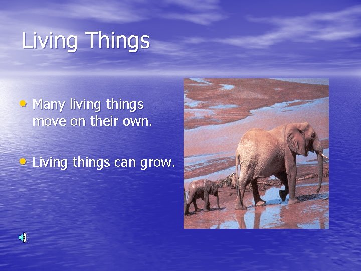 Living Things • Many living things move on their own. • Living things can