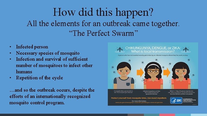 Vector Control Managing the Mosquito that Spreads Dengue