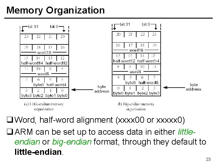 Memory Organization q Word, half-word alignment (xxxx 00 or xxxxx 0) q ARM can
