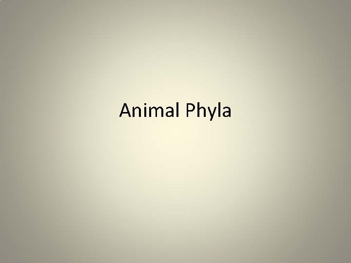 Animal Phyla 