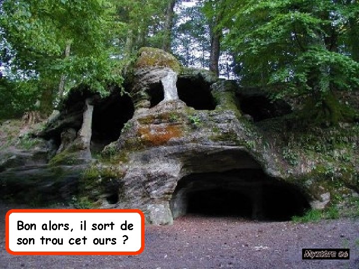 Bon alors, il sort de son trou cet ours ? 