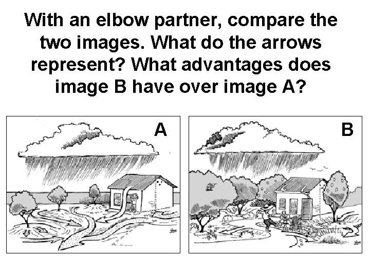 With an elbow partner, compare the two images. What do the arrows represent? What