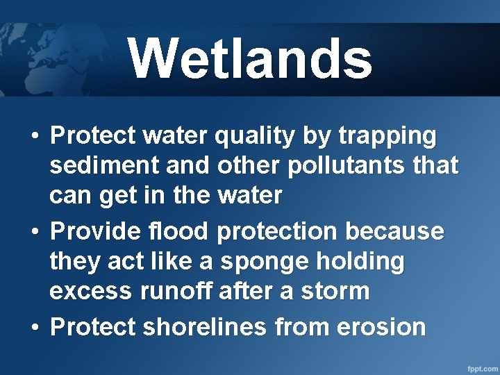 Wetlands • Protect water quality by trapping sediment and other pollutants that can get