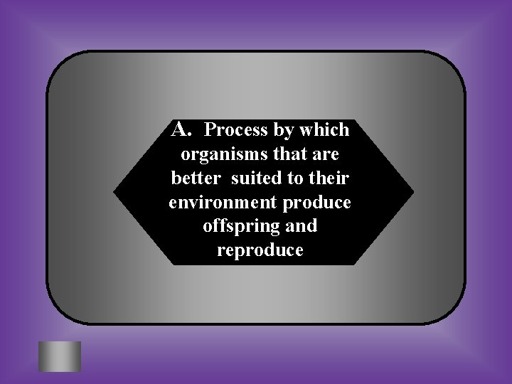 A. Process by which organisms that are better suited to their environment produce offspring
