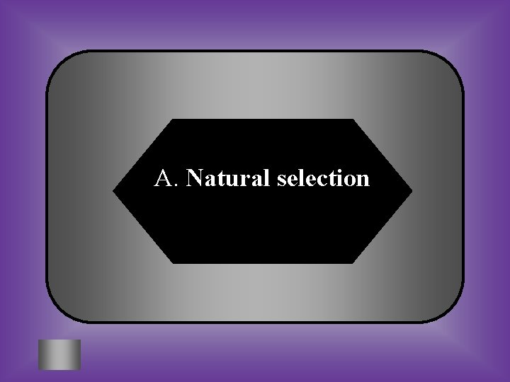 A. Natural selection 