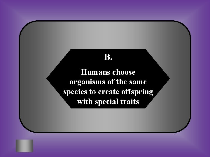 B. Humans choose organisms of the same species to create offspring with special traits