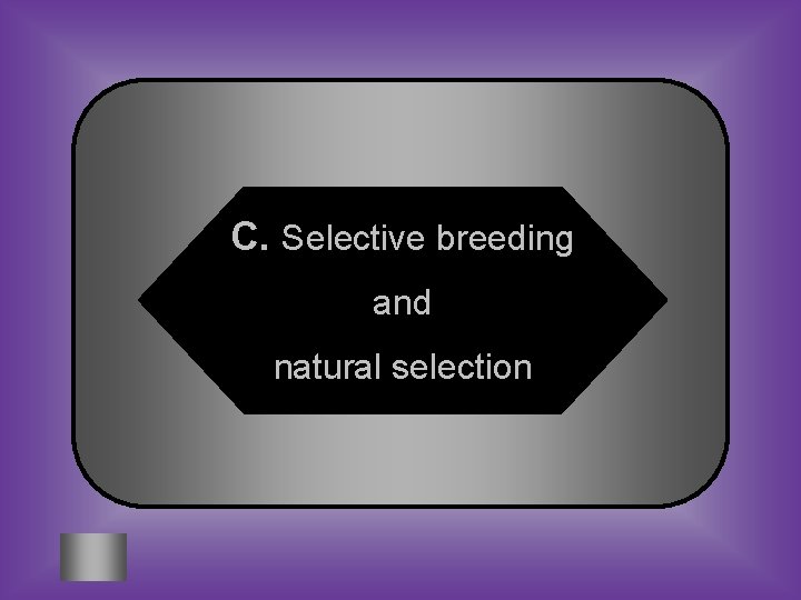 C. Selective breeding and natural selection 