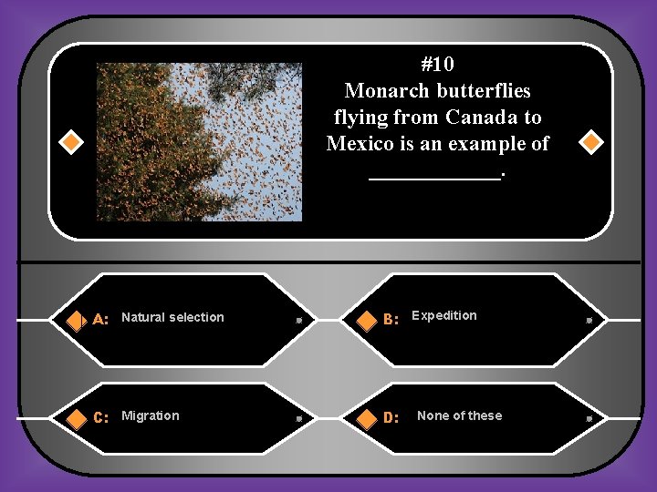 #10 Monarch butterflies flying from Canada to Mexico is an example of ______. A: