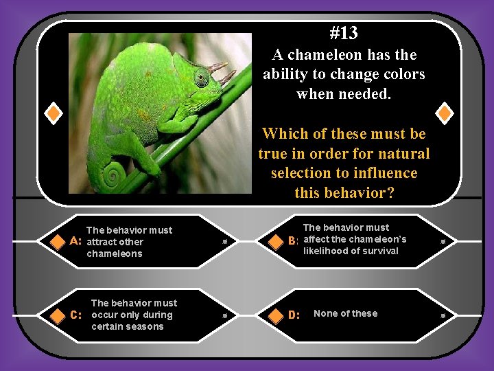#13 A chameleon has the ability to change colors when needed. Which of these
