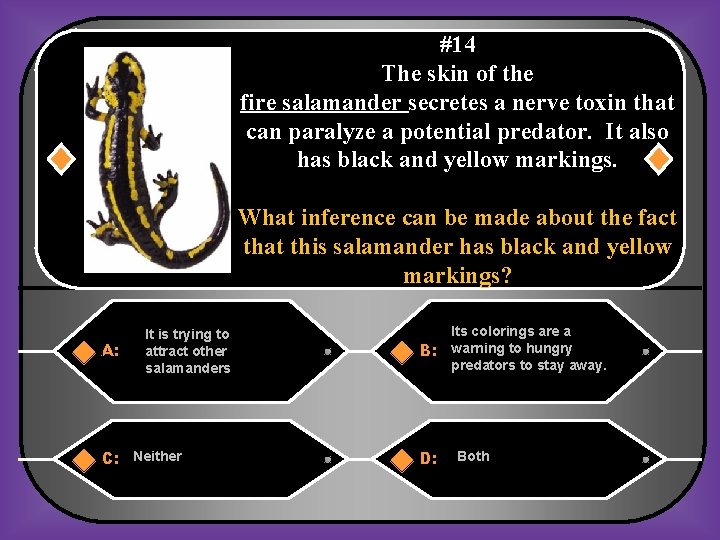 #14 The skin of the fire salamander secretes a nerve toxin that can paralyze