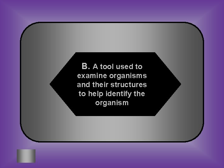 B. A tool used to examine organisms and their structures to help identify the