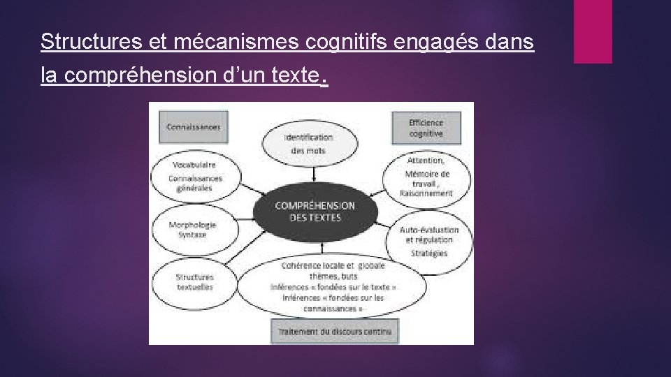 Structures et mécanismes cognitifs engagés dans la compréhension d’un texte. 