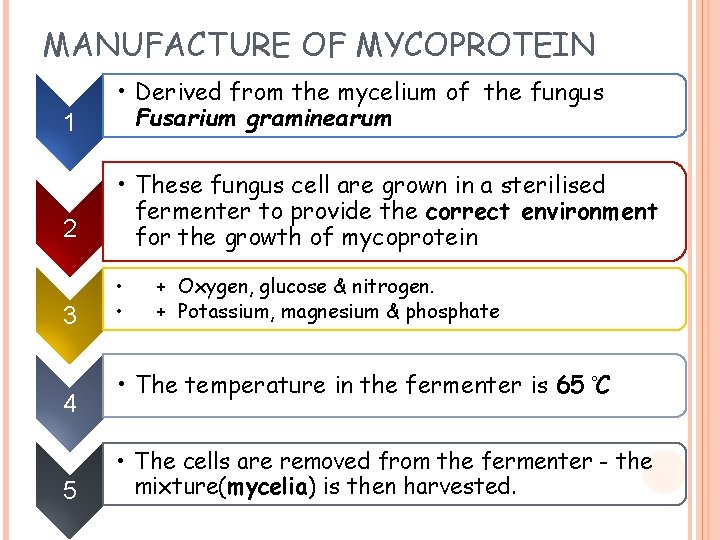 MANUFACTURE OF MYCOPROTEIN 1 • Derived from the mycelium of the fungus Fusarium graminearum