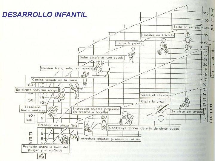 DESARROLLO INFANTIL 