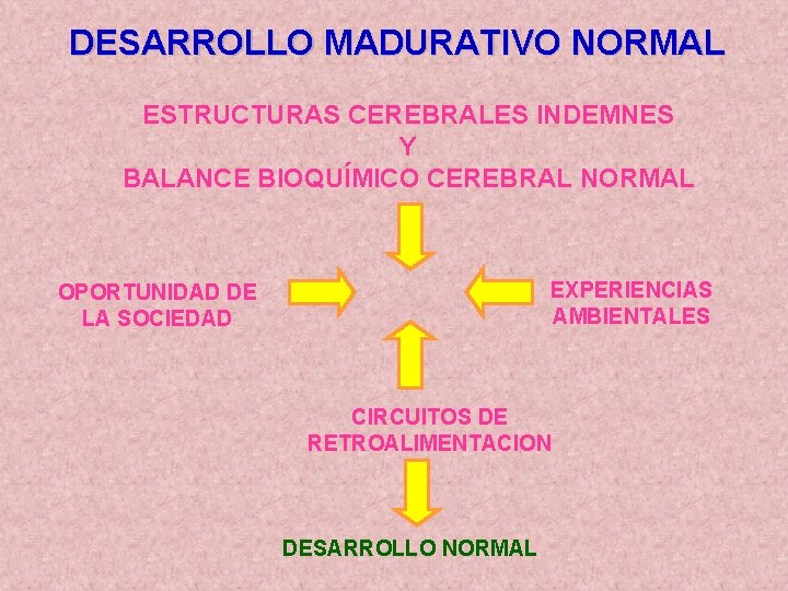 DESARROLLO MADURATIVO NORMAL ESTRUCTURAS CEREBRALES INDEMNES Y BALANCE BIOQUÍMICO CEREBRAL NORMAL EXPERIENCIAS AMBIENTALES OPORTUNIDAD