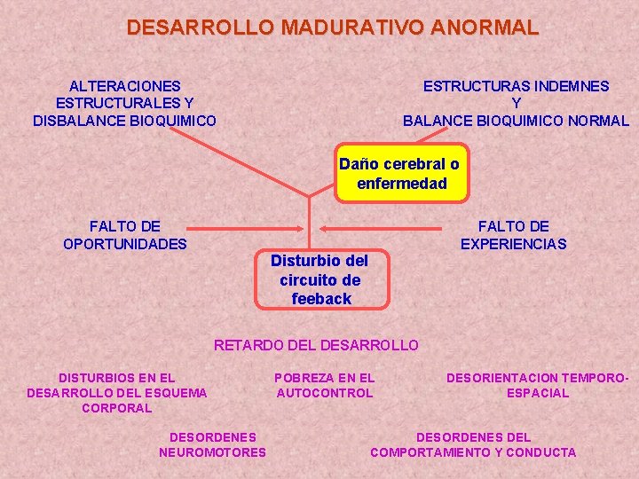DESARROLLO MADURATIVO ANORMAL ALTERACIONES ESTRUCTURALES Y DISBALANCE BIOQUIMICO ESTRUCTURAS INDEMNES Y BALANCE BIOQUIMICO NORMAL
