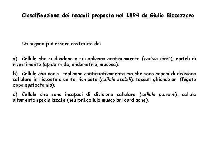 Classificazione dei tessuti proposta nel 1894 da Giulio Bizzozzero Un organo può essere costituito