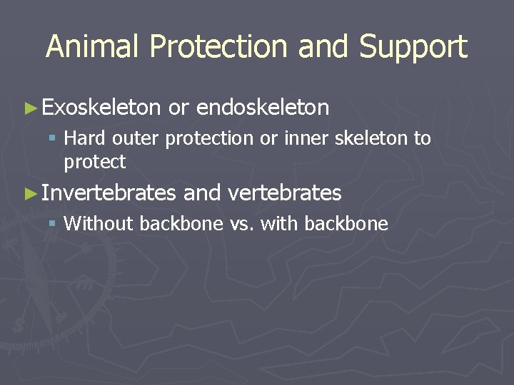 Animal Protection and Support ► Exoskeleton or endoskeleton § Hard outer protection or inner