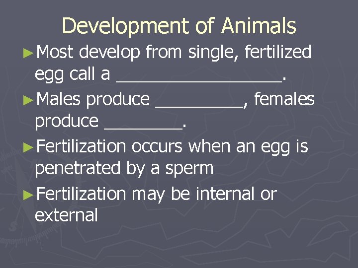 Development of Animals ►Most develop from single, fertilized egg call a _________. ►Males produce
