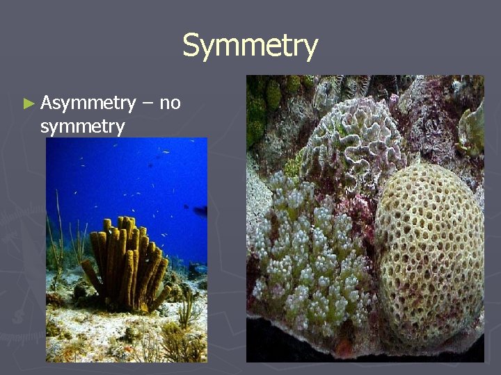 Symmetry ► Asymmetry – no 
