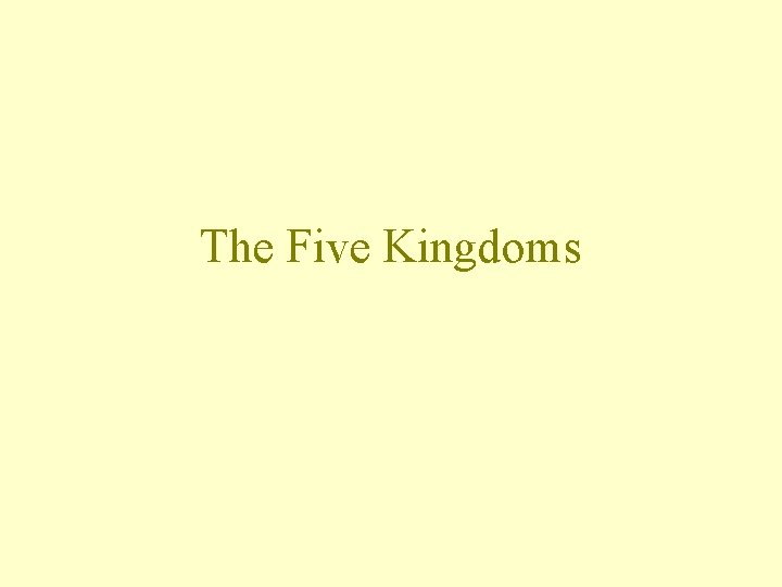 The Five Kingdoms 