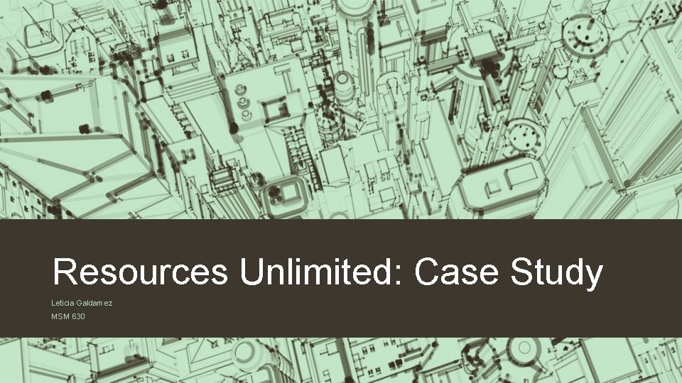 Resources Unlimited: Case Study Leticia Galdamez MSM 630 
