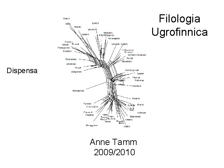 Filologia Ugrofinnica Dispensa Anne Tamm 2009/2010 