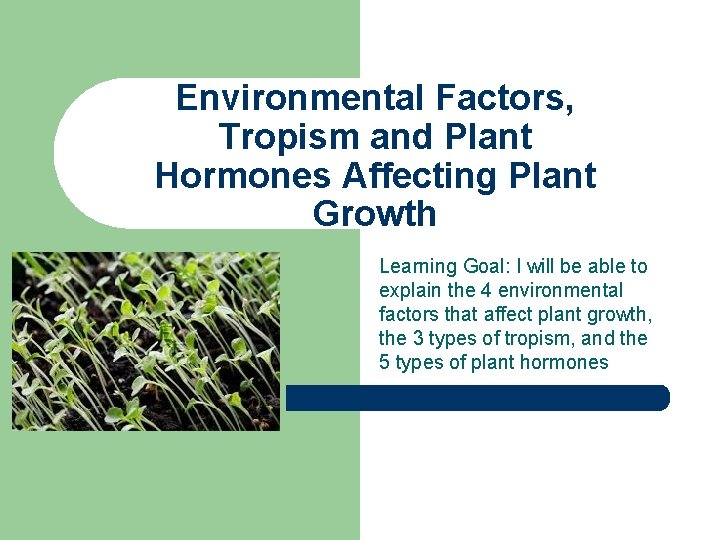 Environmental Factors, Tropism and Plant Hormones Affecting Plant Growth Learning Goal: I will be