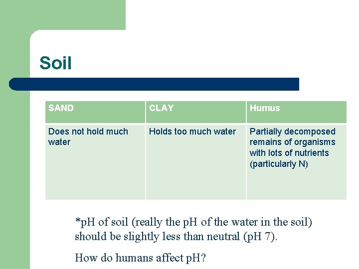 Soil SAND CLAY Humus Does not hold much water Holds too much water Partially