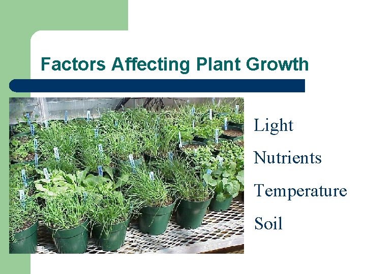 Factors Affecting Plant Growth Light Nutrients Temperature Soil 