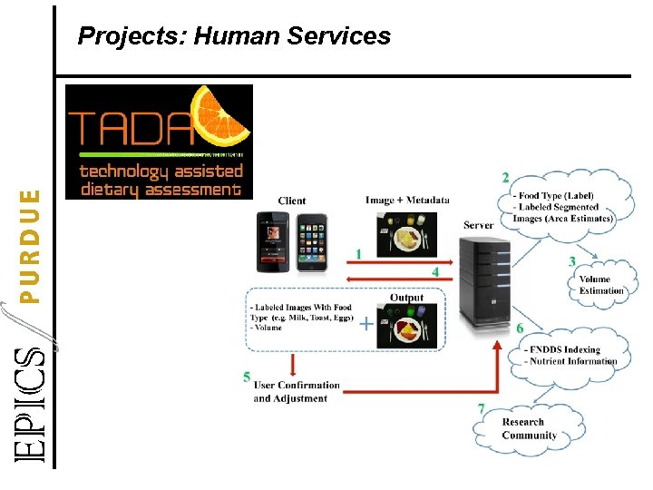 Projects: Human Services 