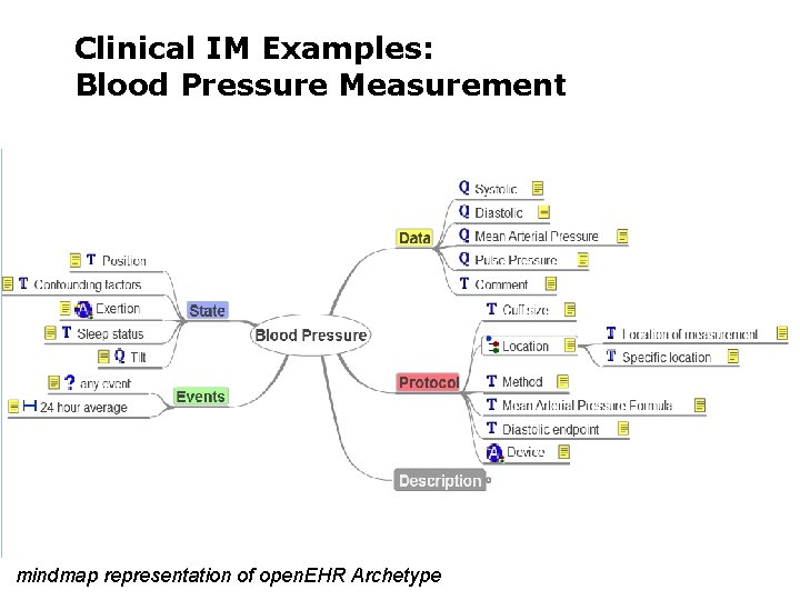 Clinical IM Examples: Blood Pressure Measurement mindmap representation of open. EHR Archetype 