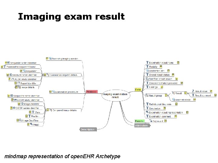 Imaging exam result mindmap representation of open. EHR Archetype 