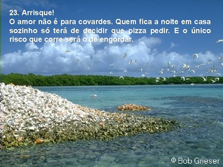 23. Arrisque! O amor não é para covardes. Quem fica a noite em casa