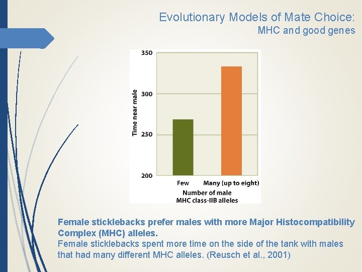 Evolutionary Models of Mate Choice: MHC and good genes Female sticklebacks prefer males with
