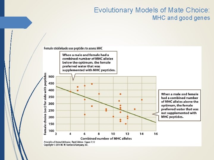 Evolutionary Models of Mate Choice: MHC and good genes 