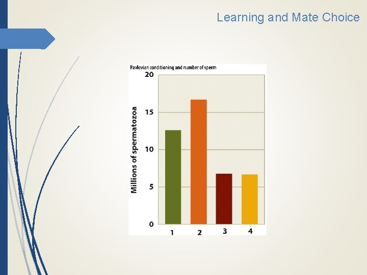 Learning and Mate Choice 