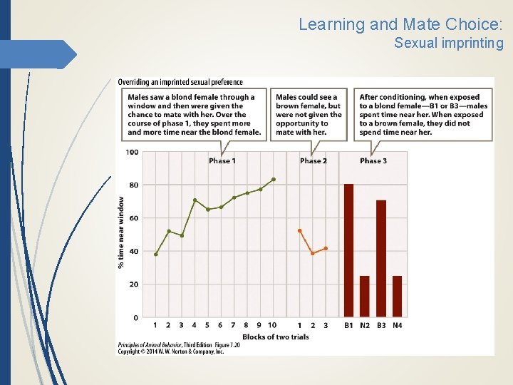 Learning and Mate Choice: Sexual imprinting 