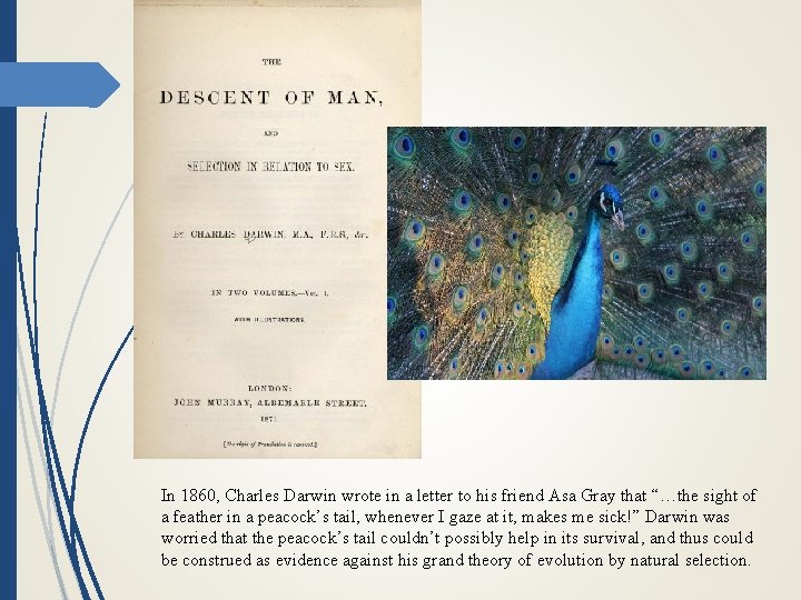 In 1860, Charles Darwin wrote in a letter to his friend Asa Gray that