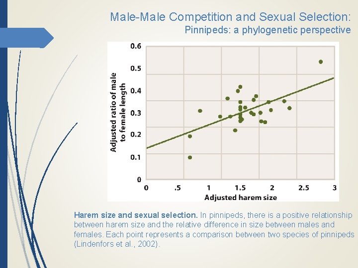Male-Male Competition and Sexual Selection: Pinnipeds: a phylogenetic perspective Harem size and sexual selection.