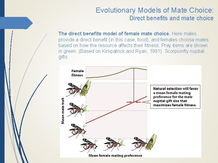 Evolutionary Models of Mate Choice: Direct benefits and mate choice The direct benefits model