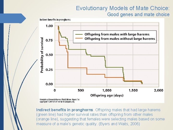 Evolutionary Models of Mate Choice: Good genes and mate choice Indirect benefits in pronghorns.