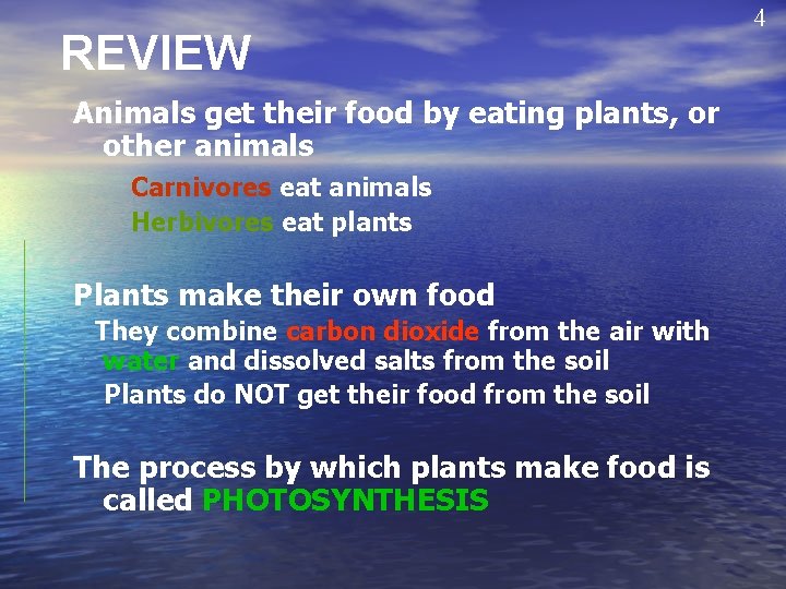 REVIEW Animals get their food by eating plants, or other animals Carnivores eat animals