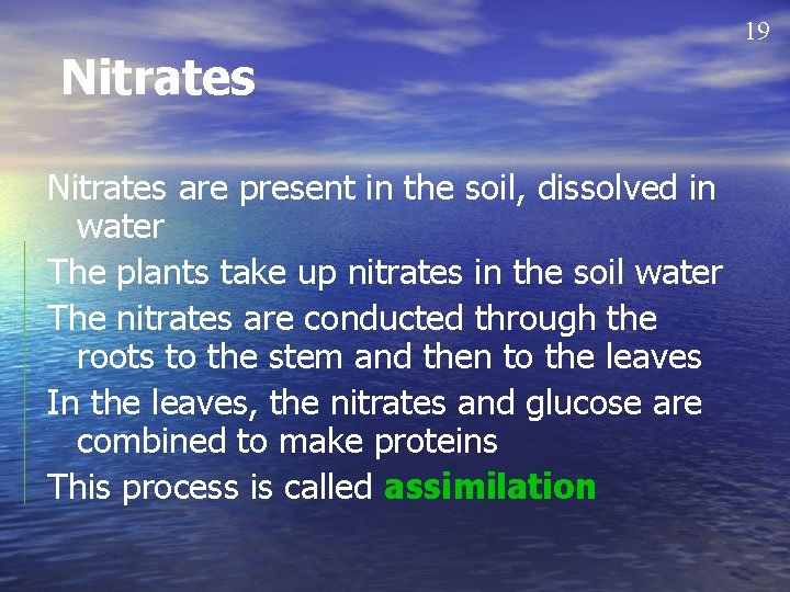 19 Nitrates are present in the soil, dissolved in water The plants take up