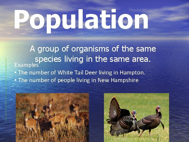 Population A group of organisms of the same species living in the same area.