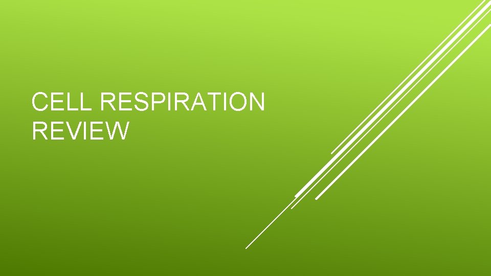 CELL RESPIRATION REVIEW CELL RESPIRATION REVIEW