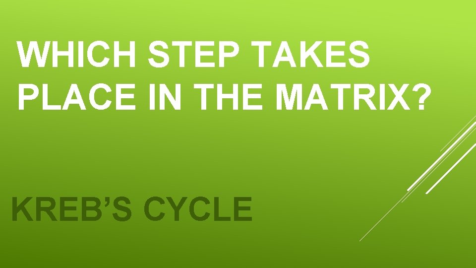 WHICH STEP TAKES PLACE IN THE MATRIX? KREB’S CYCLE WHICH STEP TAKES PLACE IN THE MATRIX? KREB’S CYCLE