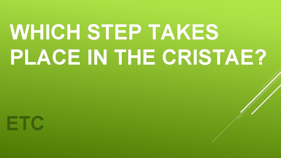 WHICH STEP TAKES PLACE IN THE CRISTAE? ETC 